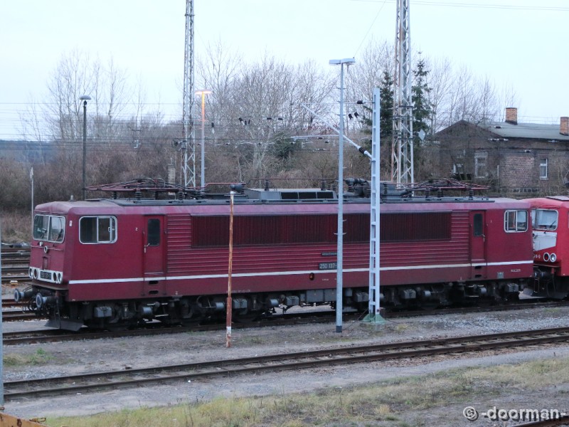 155 137-3 b.JPG