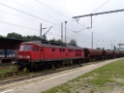 dsc39142