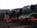 dsc43559